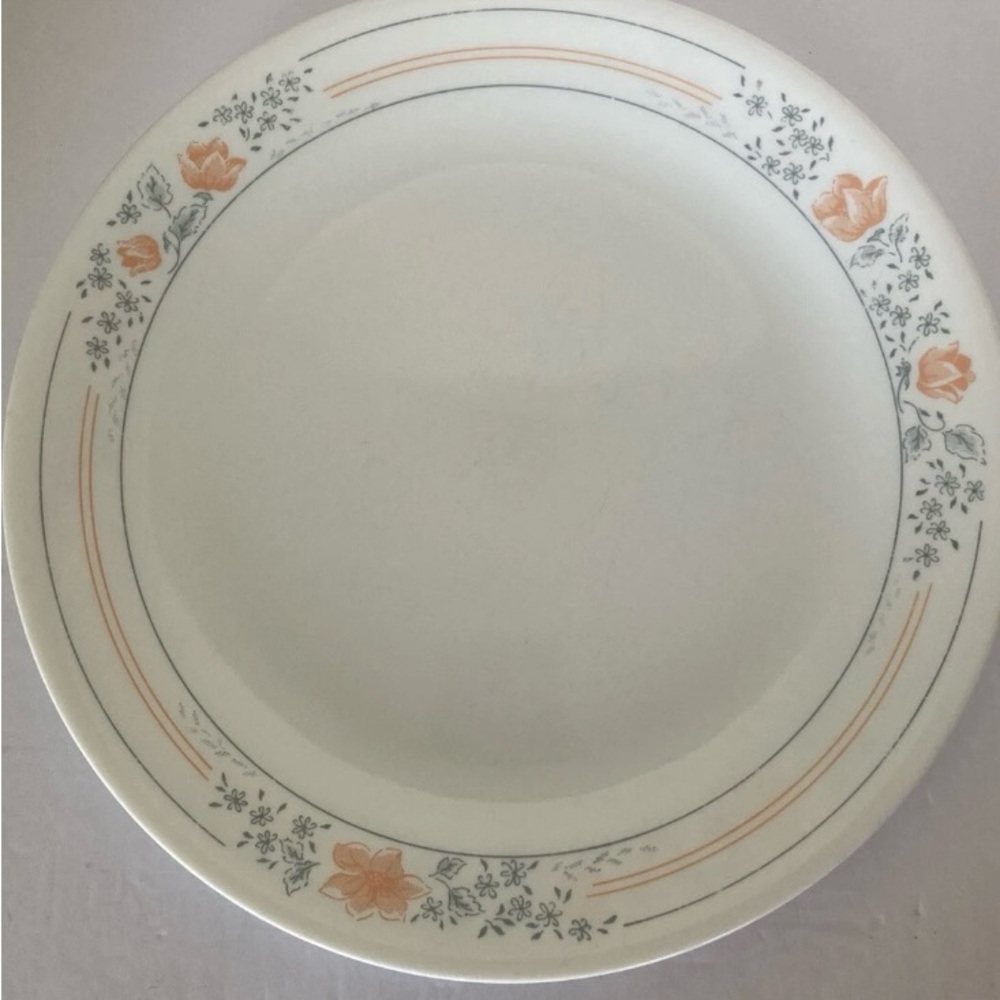 Lot Of 2 Corning Corelle Apricot Grove 10.25" Dinner Plate Dish
